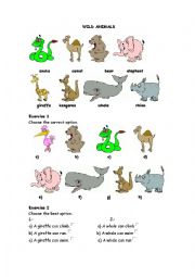 English Worksheet: wild animals