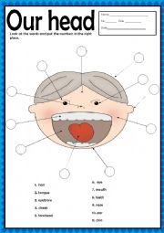 English Worksheet: OUR HEAD + KEY