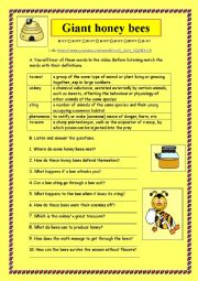 English Worksheet: LISTENING: GIANT HONEY BEES + KEY