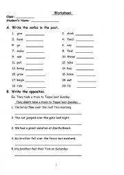 The Worksheet