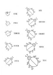 English Worksheet: Counting 1-10