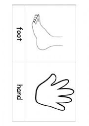 Body parts flashcards BW