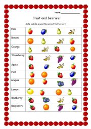 English Worksheet: Fruits and berries