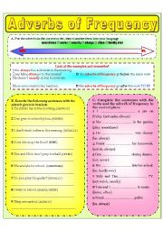 English Worksheet: ADVERBS OF FREQUENCY