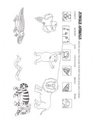 English Worksheet: Jungle animals