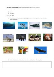 English Worksheet: WWF video- environment