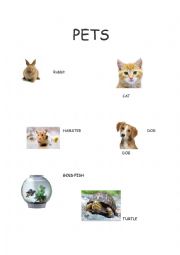 English Worksheet: Pets