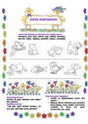 English Worksheet: Pets pictionary