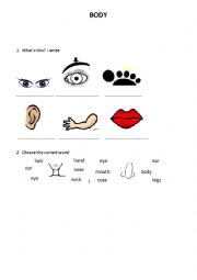 English Worksheet: Body