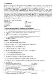 English Worksheet: a cleaning lady