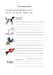 English Worksheet: What can the animals do?