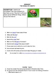 English Worksheet: the world of insects