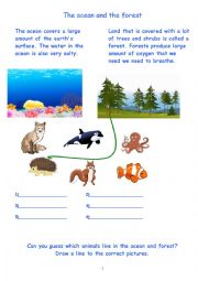 Nature Science Animals Ocean and Forest 