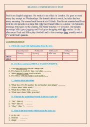 English Worksheet: READING COMPREHENSION TEST