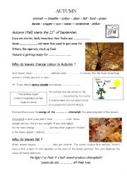 English Worksheet: Autumn - Cloze