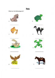 English Worksheet: Pets