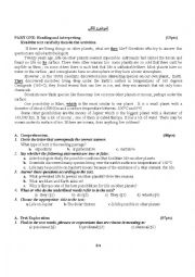 English Worksheet: reading comprehension