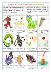 English Worksheet: PRESENT CONTINUOUS with INSECTS (with key)