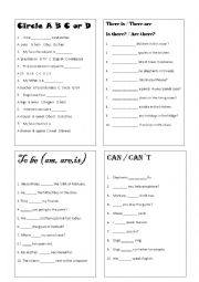 English Worksheet: Essential grammar