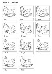English Worksheet: color the butterflies