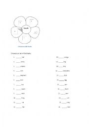 English Worksheet: Vowels Practice