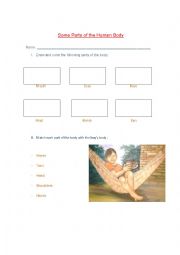 English Worksheet: Some parts of the human body