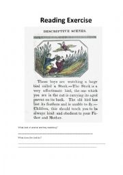 English Worksheet: Reading Activity