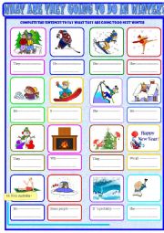 English Worksheet: What are they going to do in winter?