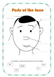 English Worksheet: Parts of the face