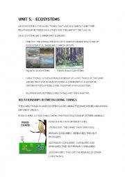 English Worksheet: ECOSYSTEMS. SUMMARY