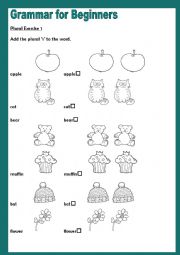 Grammar for Beginners - Plurals 2