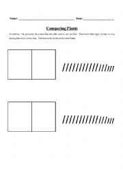 Comparing Plants