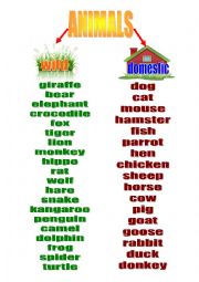 English Worksheet: ANIMALS