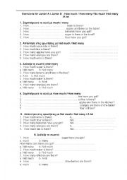 English Worksheet: How much-How many 