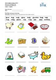 English Worksheet: Digraphs th, sh, ck, ng, ch