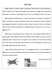 English Worksheet: 9 th form full term test