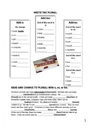 English Worksheet: Singular and Plural