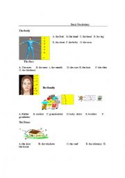 English Worksheet: basic vocabulary 