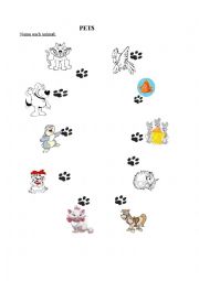 English Worksheet: pets