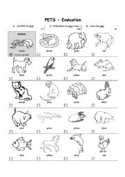 English Worksheet: Pets and colours