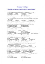 English Worksheet: Grammar Test Paper