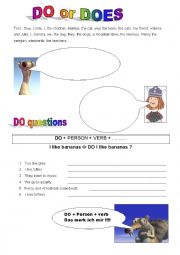 English Worksheet: do _ does introduction