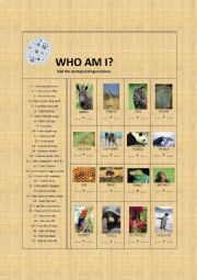 English Worksheet: Who am I? A matching activity about animals