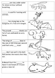 English Worksheet: Animals matching task