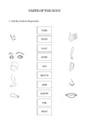 English Worksheet: Parts of the body