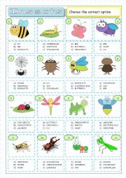 English Worksheet: Insects - Multiple Coice