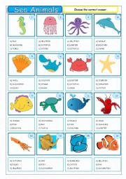 English Worksheet: Sea Animals - Multiple Coice