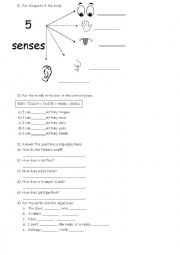 English Worksheet: Five senses