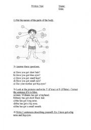 English Worksheet: TEST PARTS OF THE BODY 
