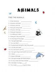 Animals worksheet